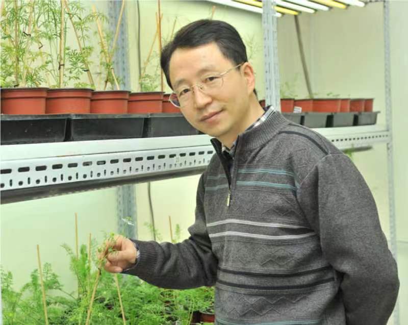 beat365创新论坛第一千二百六十八讲暨120周年校庆年系列活动：复杂花瓣的发育与进化